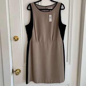 LOFT Tan and Black Color Block Dress